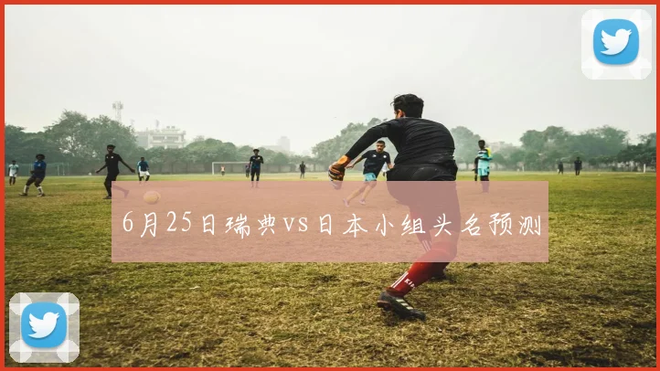 6月25日瑞典vs日本小组头名预测